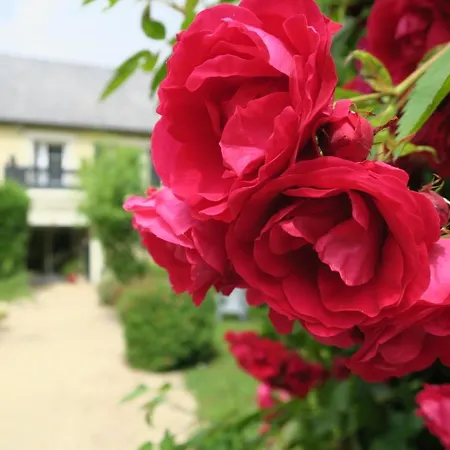 Casa de hóspedes La Naomath - Maison D'hôtes, Insolite&gîte Nonant