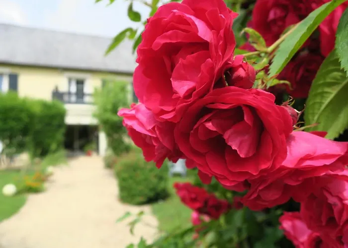 Guest house La Naomath - Maison D'hotes, Insolite & Nonant